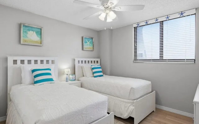 Sand Dollar 501