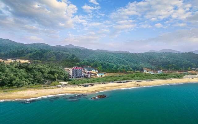 Winner House Pension