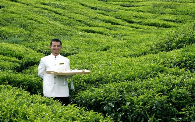 Cameron Highlands Resort