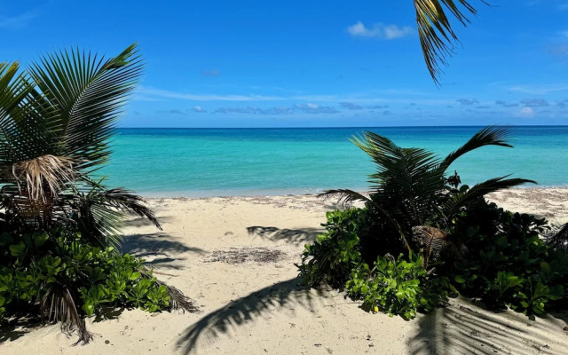 Roatan Infinity Pool & Ocean View
