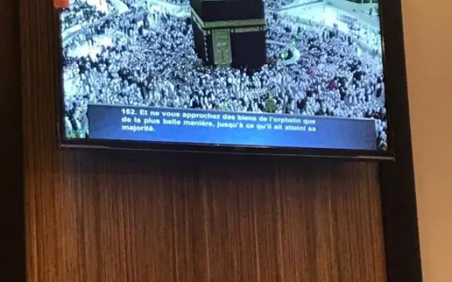 تالين الرياض