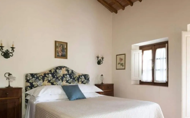 House in Tuscany With Pool & Olive Grove Views