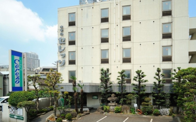 Hotel Cerezo