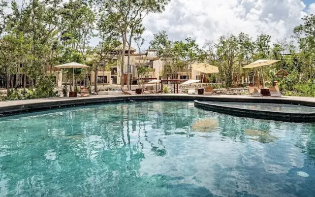 Selva norte Tulum