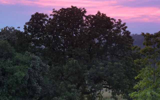 Mahua Kothi, A Taj Safari - Bandhavgarh National Park