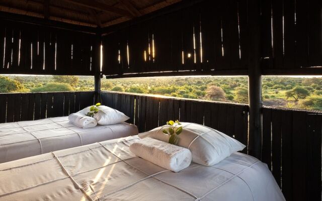 Tuli Safari Lodge