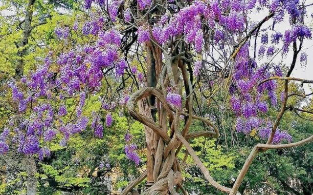 B &B Residence Armonia