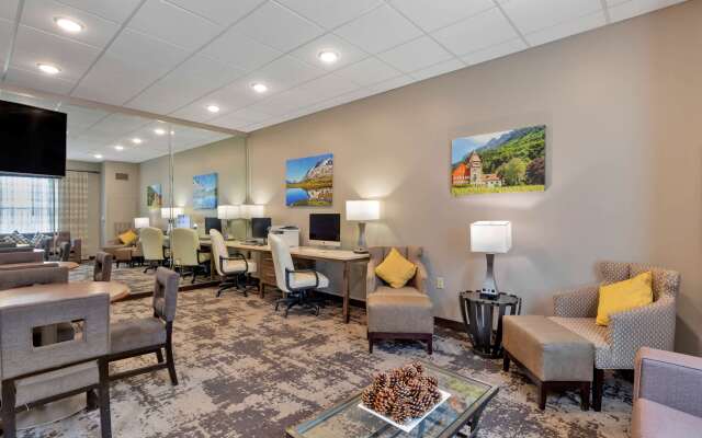 Best Western Plus Swiss Chalet Hotel & Suites