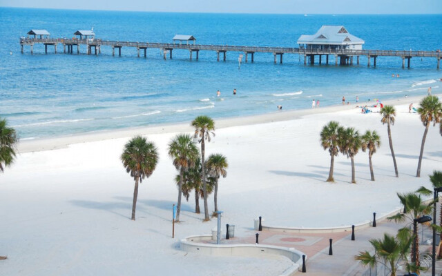 Exquisite Avalon Clearwater Condo,Minutes To Beach