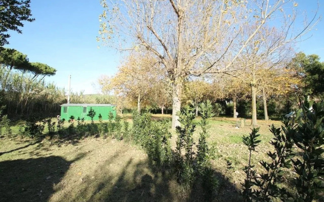 Agriturismo Borgo Podernovo