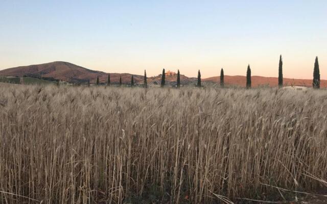 Il casale degli olivi