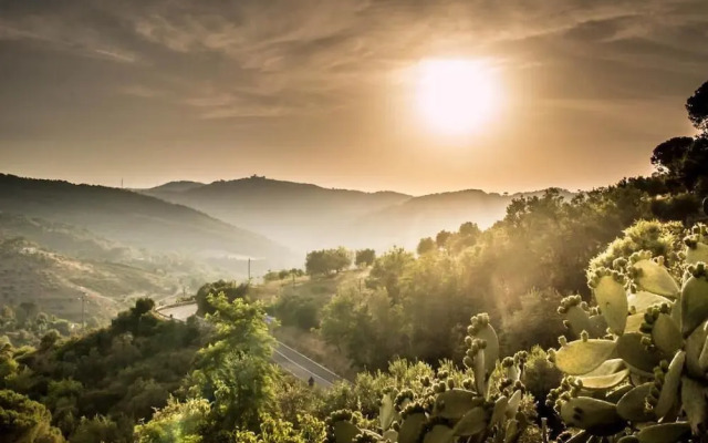 Casale I Cirillo: Primula & Iberide Florida