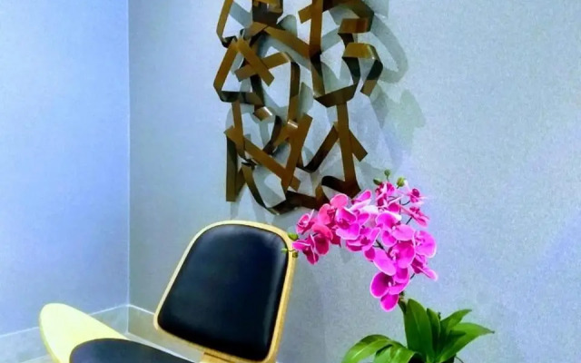 Studios Centro SP 16