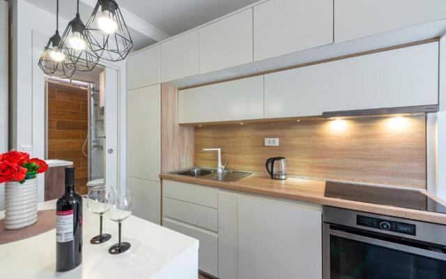 Modern studio apartment Lučić