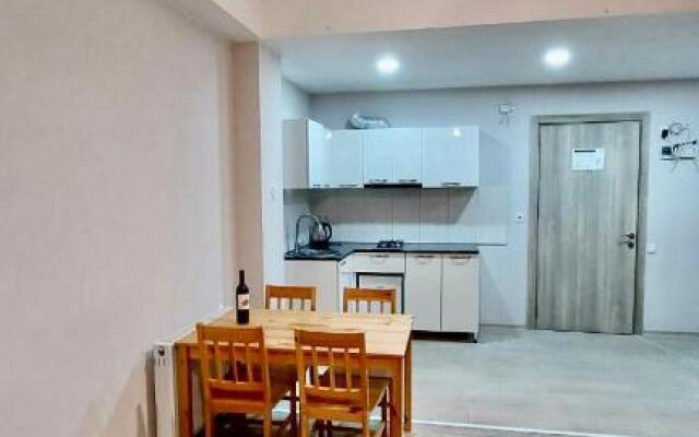 Apartment Bakuriani Plaza 512