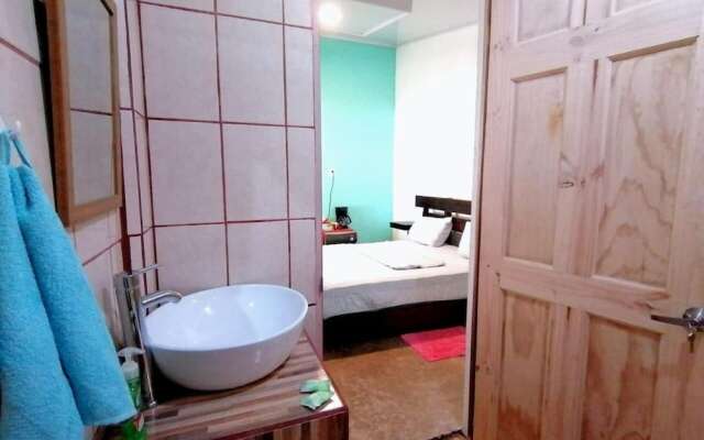 Casa Turtle Bogue - Hostel