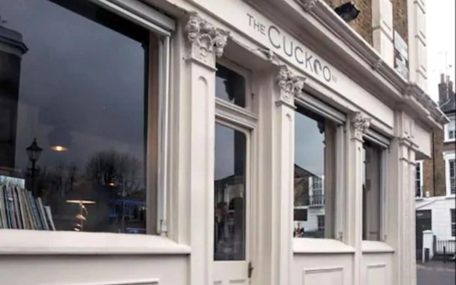 The Cuckoo N1