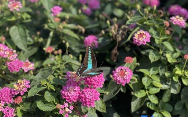 Rongchang Riel High-tech Hotel