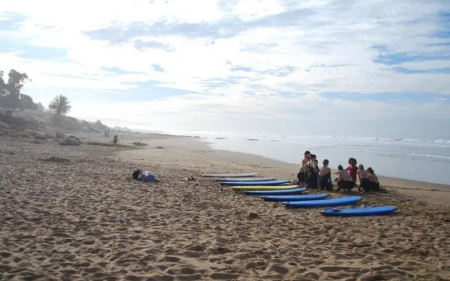 Hashpoint Surf Camp