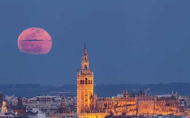 R&M Alojamientos C/Sierpes 46