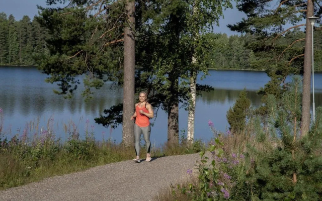 Hotelli Mesikämmen Oy