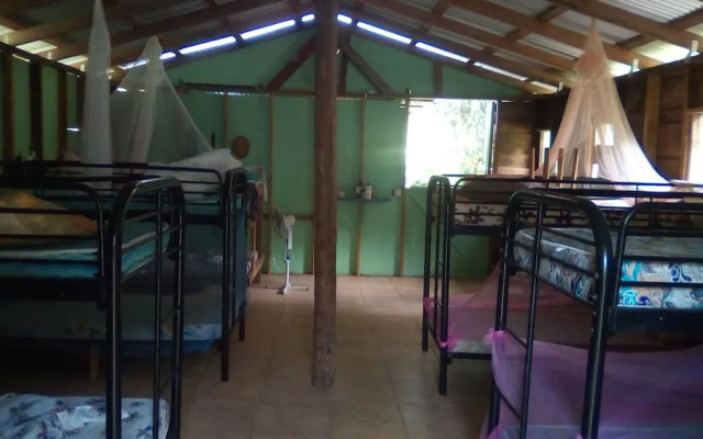 3 Rivers & Rosalie Forest Eco Lodge