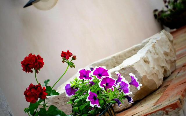 Villa Ragusa Vecchia