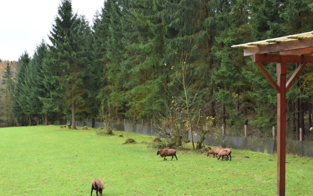 Modern Holiday Home in RÃ¼beland With a Garden