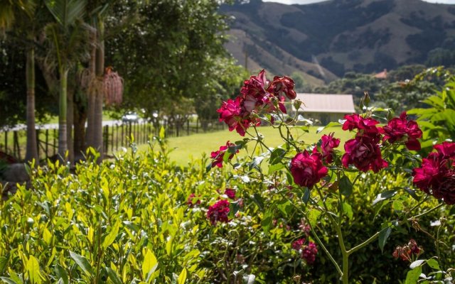 Taigh na Mara B&B