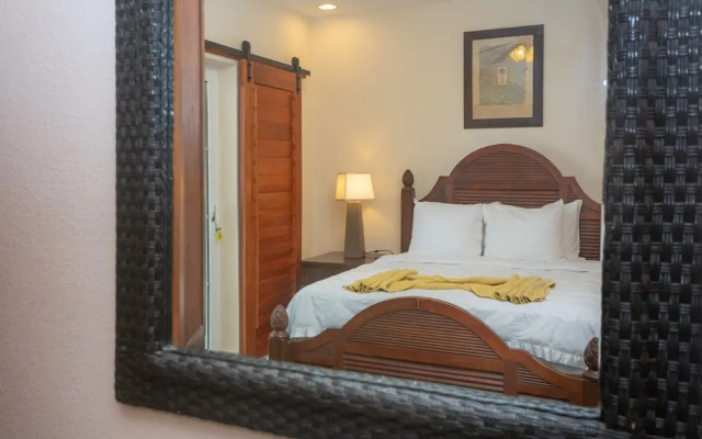 Lawson Rock - Parrotfish 106