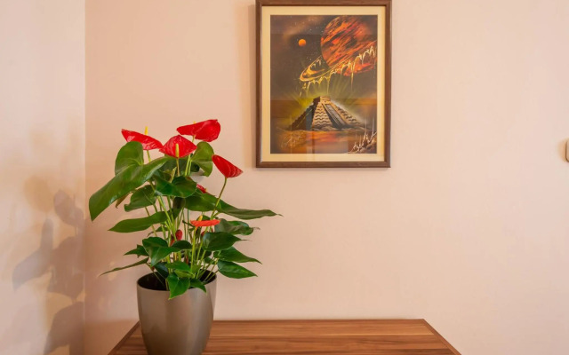 Santos 1214 Apartment