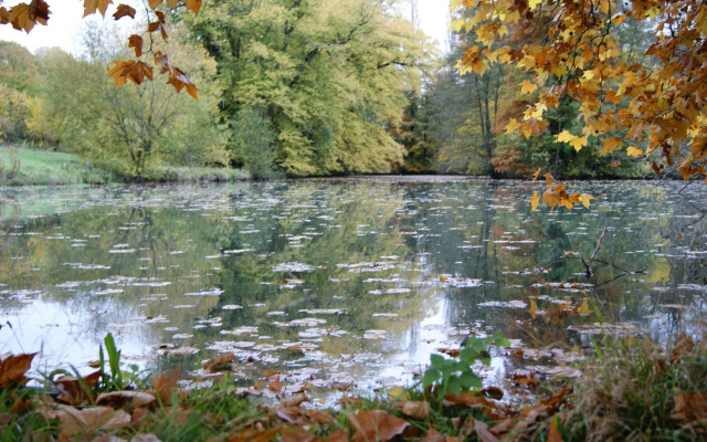 Château de la Bûcherie