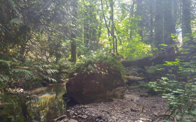Scott Creek Farm