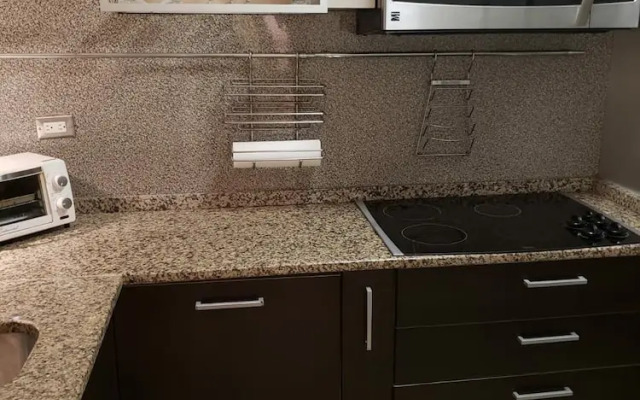 Ocean View Gorgeous 1 Bedroom Apt