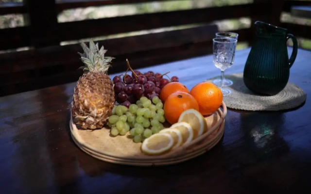 Robinson house''La Vida''