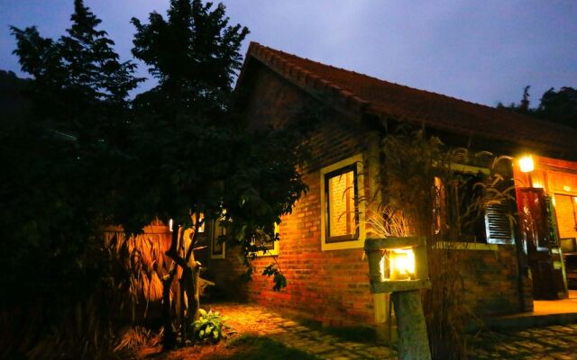 Bis House