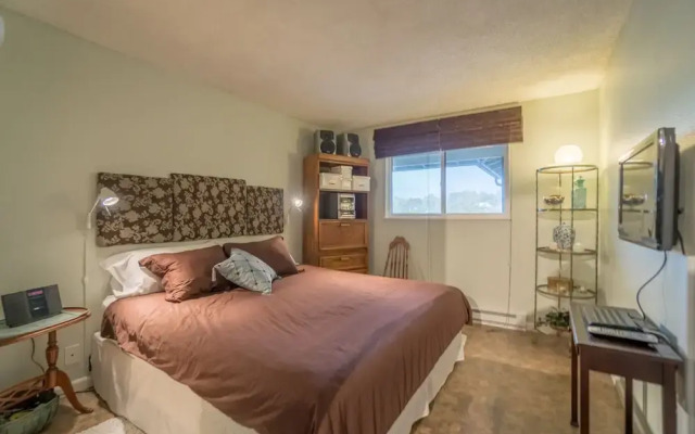 Surftides Plaza Rentals