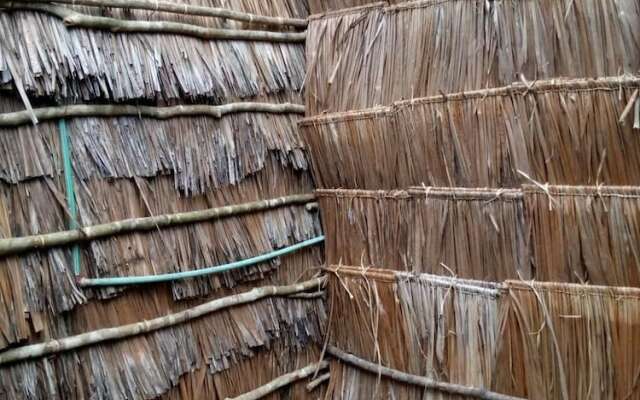 Room-mida Creek Eco Camp - Lodge