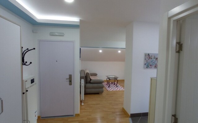 Novo Lux Apartment Montenegro 40M2 Terace