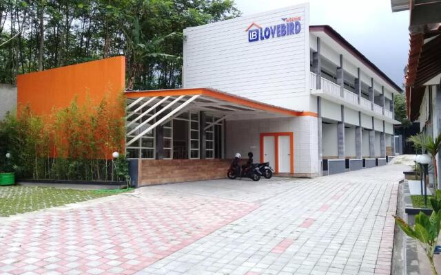Wisma Lovebird