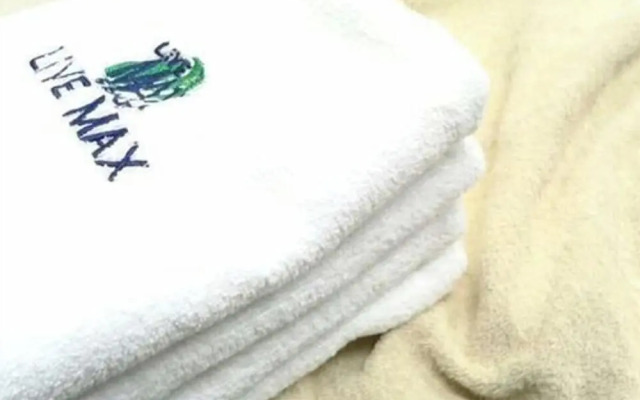 HOTEL LiVEMAX OKAZAKI
