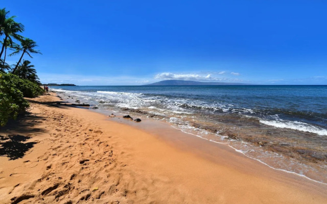 Maui Kai 308