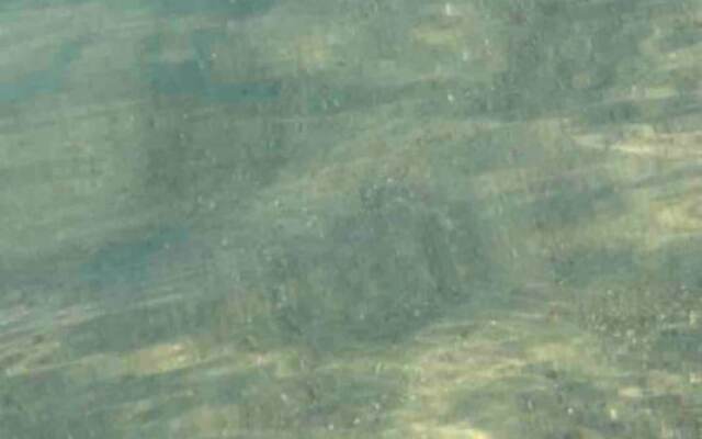 Le Ptit Canada Escape