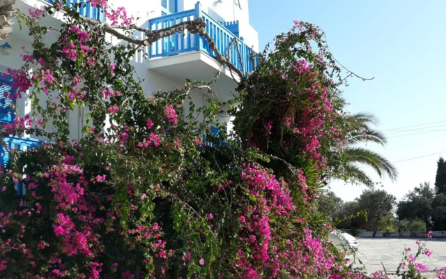 Hotel Alkyon