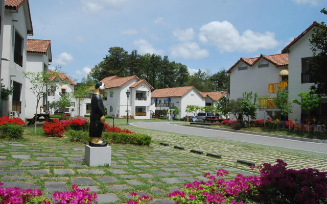 Damyang Meta Pension