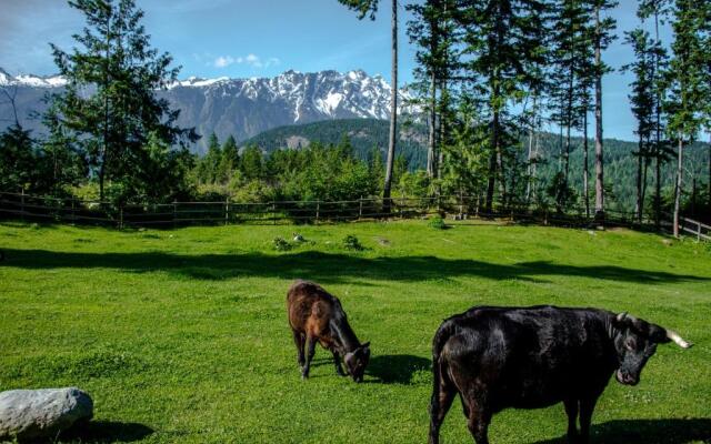 The Cabin at Sweetwater Lane Farm