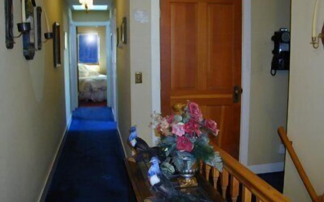 Robins Nest Bed & Breakfast