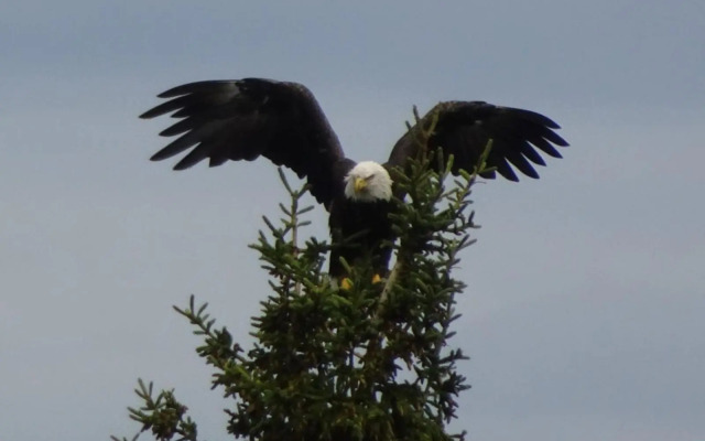 Traumhaft Ruhige Lage Eva Lamprecht