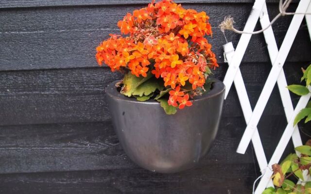 "Rusanka" - 500m from the sea in SE Jutland