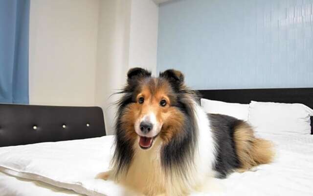 Regariain - Vacation STAY 84909